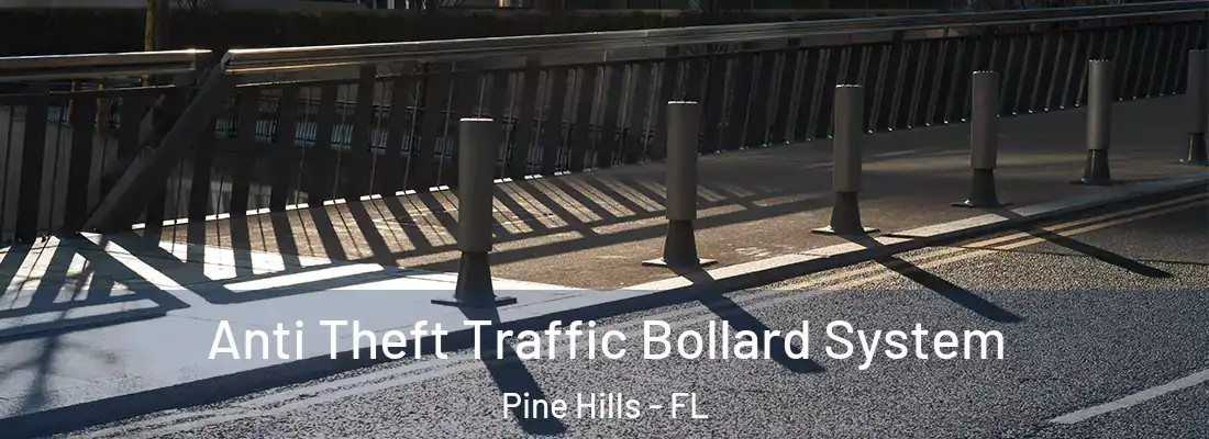  Anti Theft Traffic Bollard System Pine Hills - FL