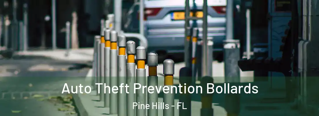  Auto Theft Prevention Bollards Pine Hills - FL