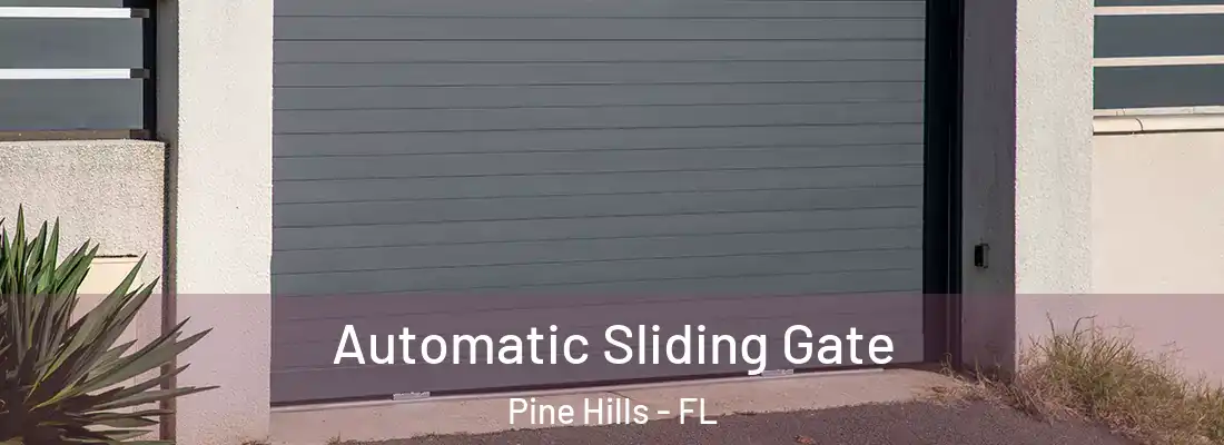  Automatic Sliding Gate Pine Hills - FL