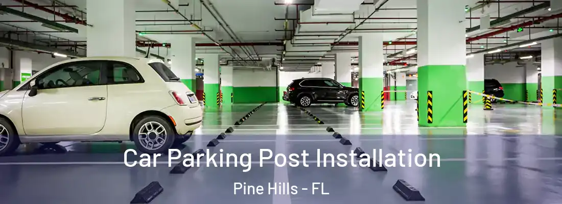  Car Parking Post Installation Pine Hills - FL
