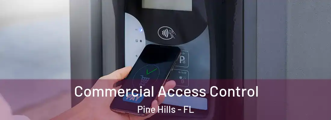  Commercial Access Control Pine Hills - FL