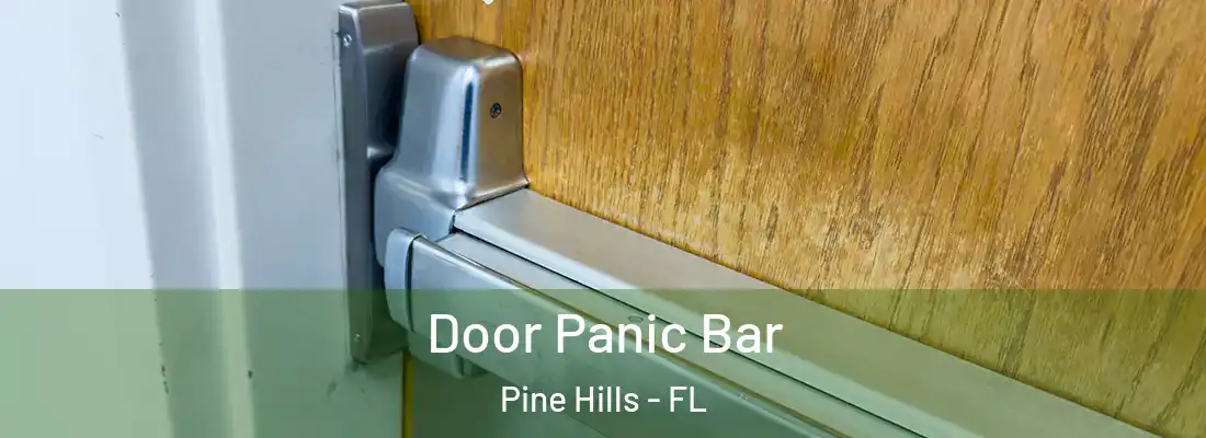  Door Panic Bar Pine Hills - FL