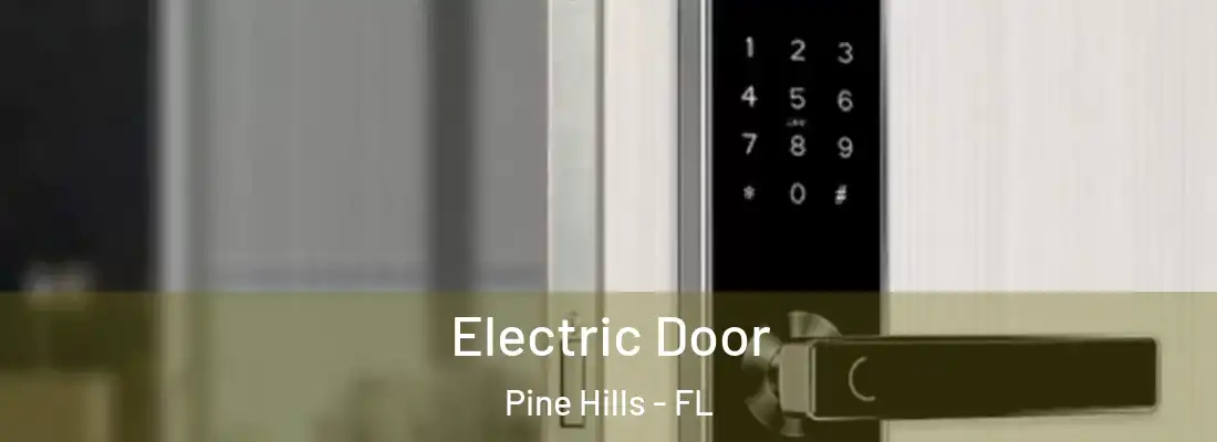  Electric Door Pine Hills - FL