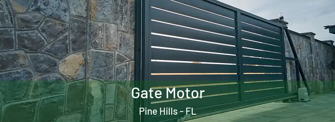  Gate Motor Pine Hills - FL