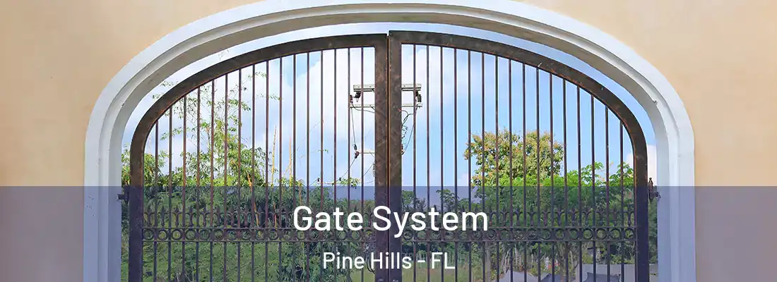  Gate System Pine Hills - FL
