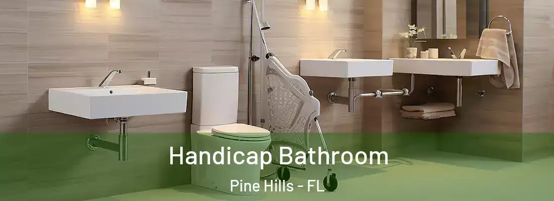  Handicap Bathroom Pine Hills - FL