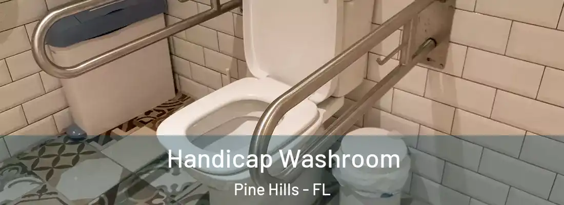  Handicap Washroom Pine Hills - FL
