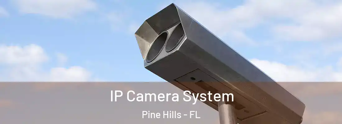 IP Camera System Pine Hills - FL