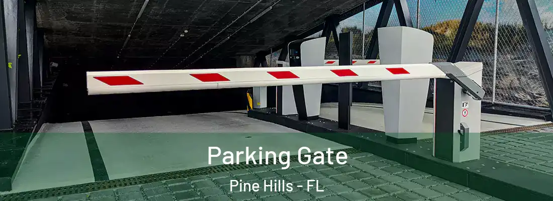  Parking Gate Pine Hills - FL