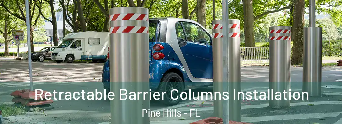  Retractable Barrier Columns Installation Pine Hills - FL