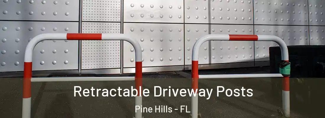  Retractable Driveway Posts Pine Hills - FL