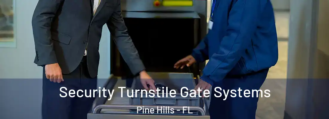  Security Turnstile Gate Systems Pine Hills - FL