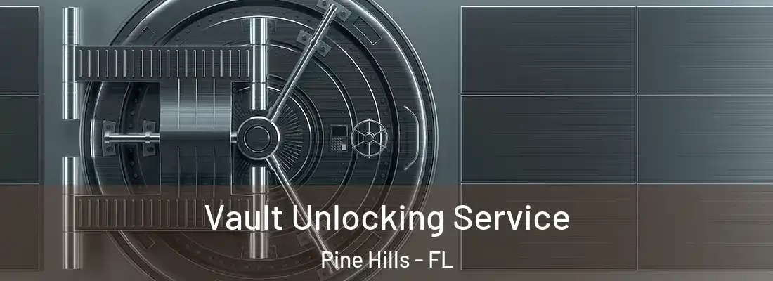  Vault Unlocking Service Pine Hills - FL